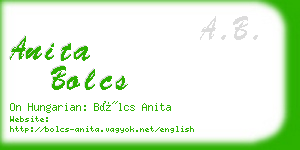 anita bolcs business card